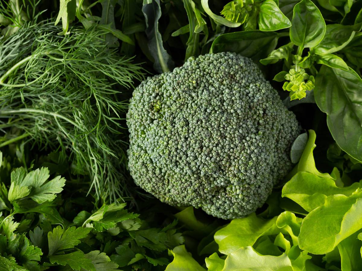 Brócoli y verduras de hoja verde, crucíferas que apoyan la eliminación de metales pesados